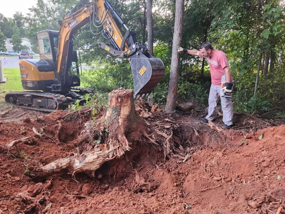 Trusted outdoor landscaping experts serving Rock Hill, SC - Past The Pine