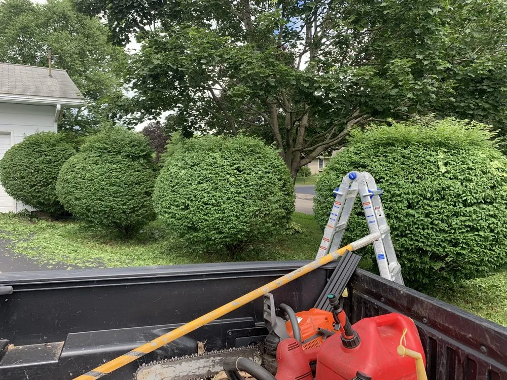 Custom landscape design near you across Morris, NY - Pasternak Outdoors