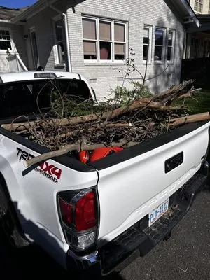 Pastor Landscaping Logo