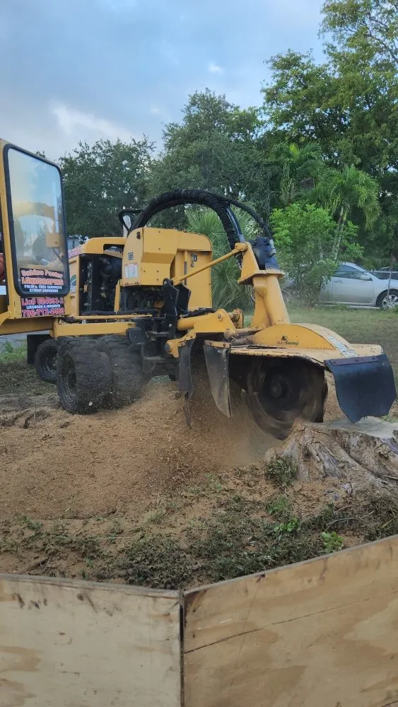 Reliable residential landscaping experts serving Homestead, FL - Pastor Landscaping