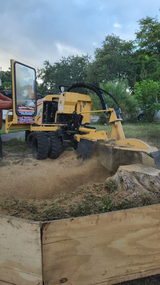 Expert yard cleanup service in Homestead, FL by Pastor Landscaping