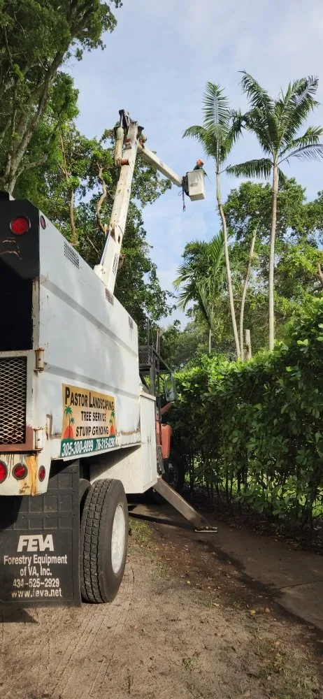 Reliable yard maintenance in Homestead, FL - Pastor Landscaping