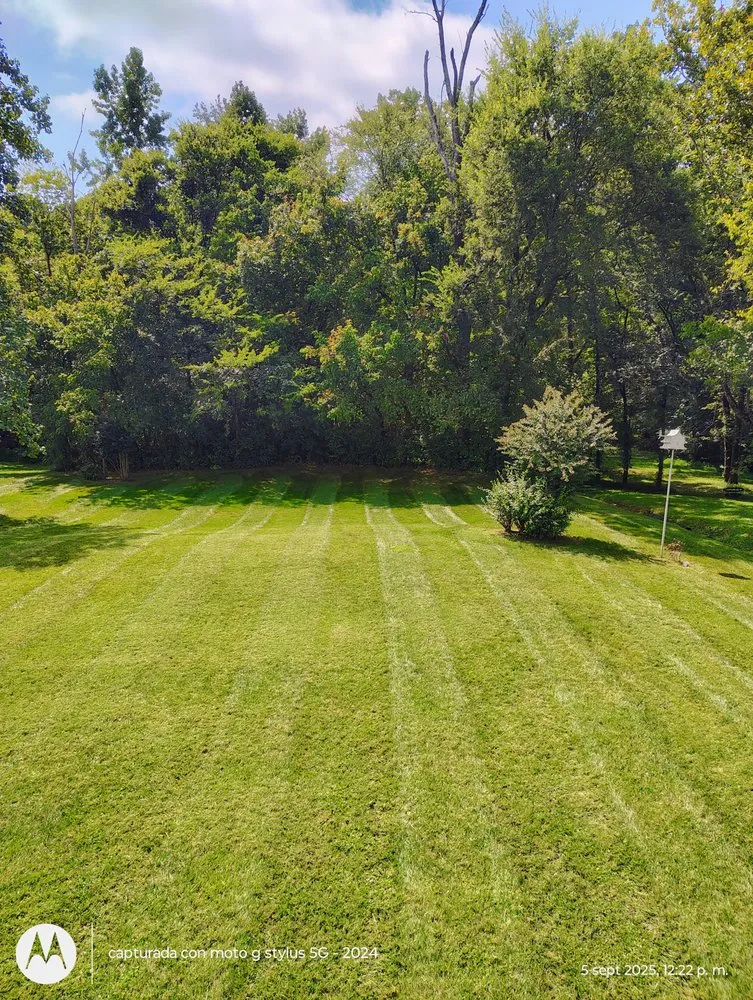 Custom lawn care service in Mocksville, NC - Pastor Landscaping Services