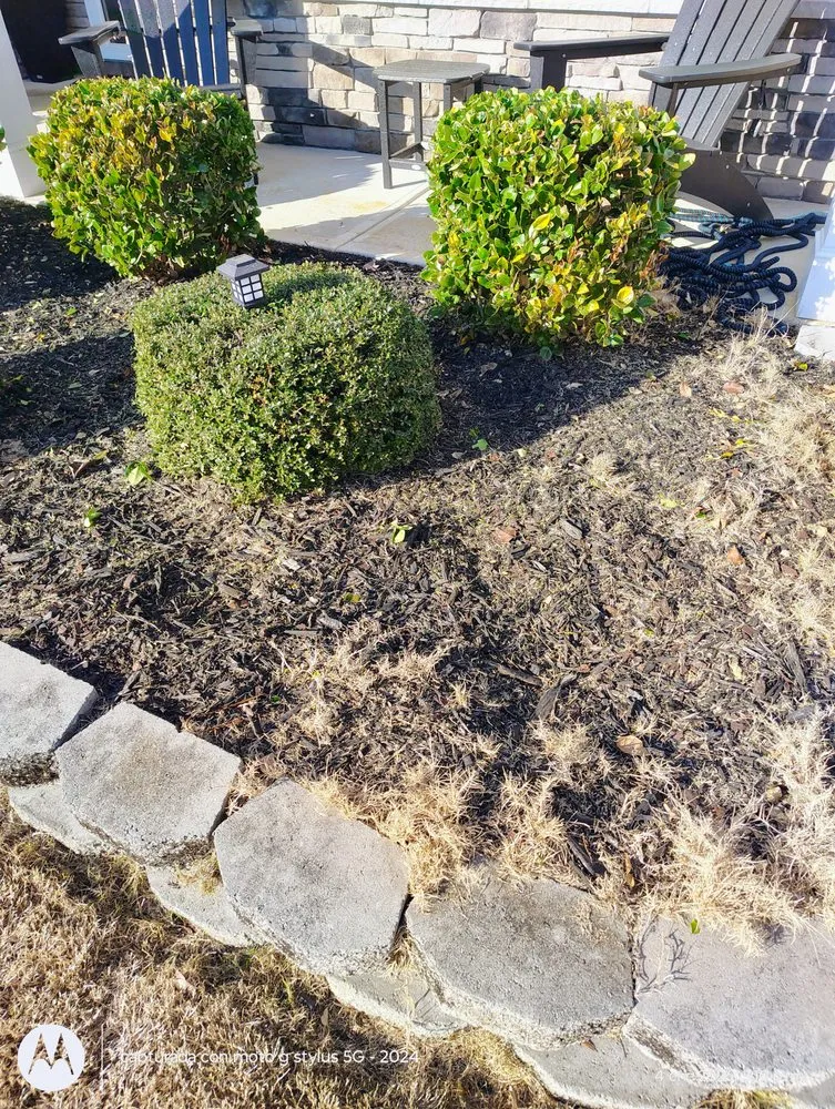 Top-rated yard maintenance for year-round maintenance in Mocksville, NC by Pastor Landscaping Services