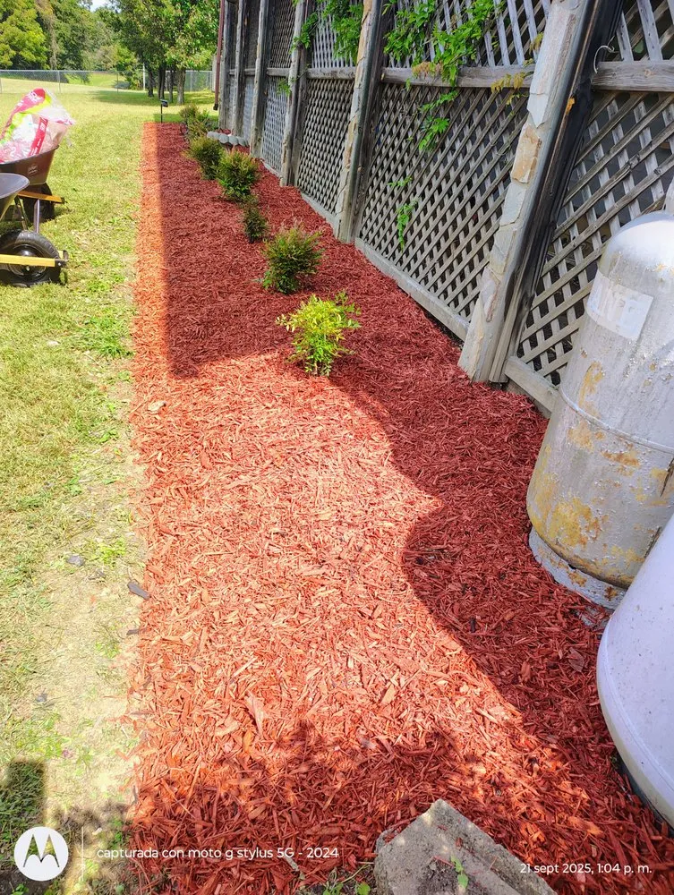 Professional residential landscaping in Mocksville, NC - Pastor Landscaping Services
