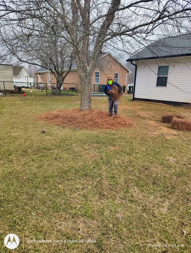 Professional yard maintenance in Mocksville, NC by Pastor Landscaping Services