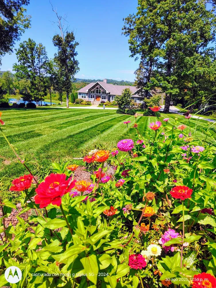 Affordable landscape design for beautiful yards across Mocksville, NC - Pastor Landscaping Services