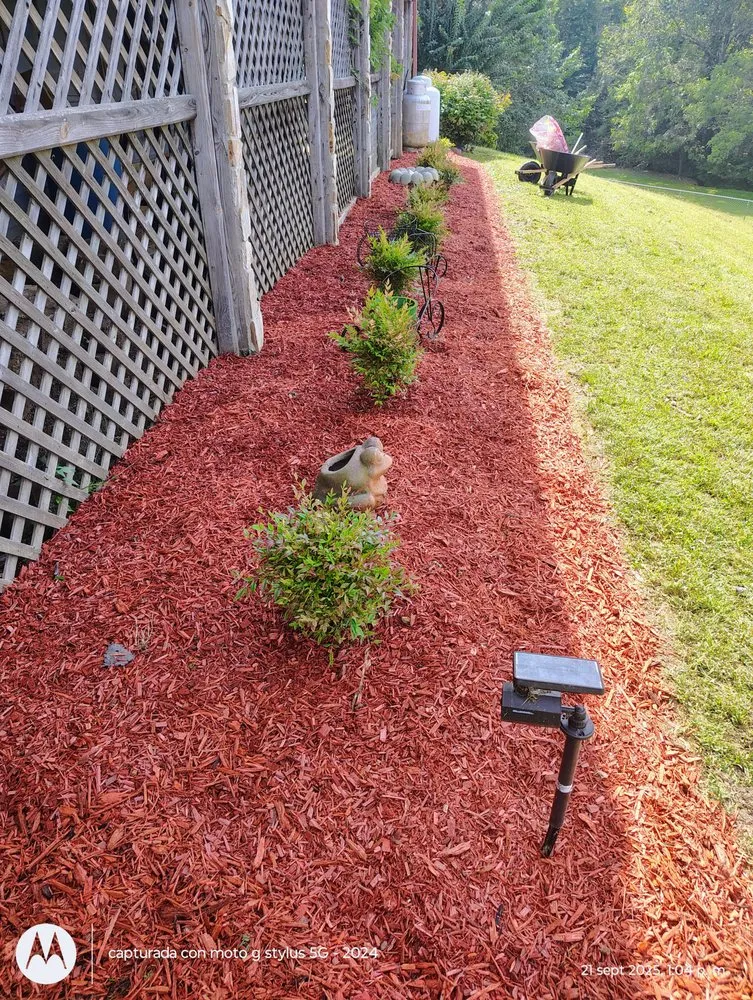 Local yard maintenance in Mocksville, NC by Pastor Landscaping Services