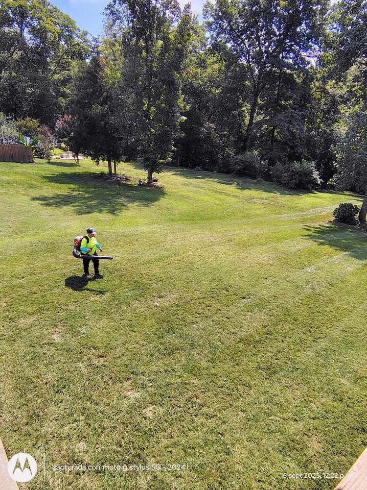 Reliable lawn care service with custom design across Mocksville, NC - Pastor Landscaping Services