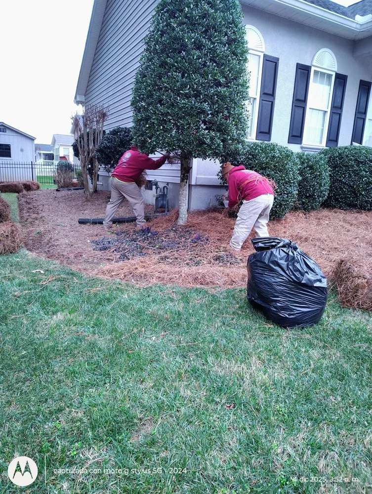 Top-rated outdoor landscaping in Mocksville, NC by Pastor Landscaping Services