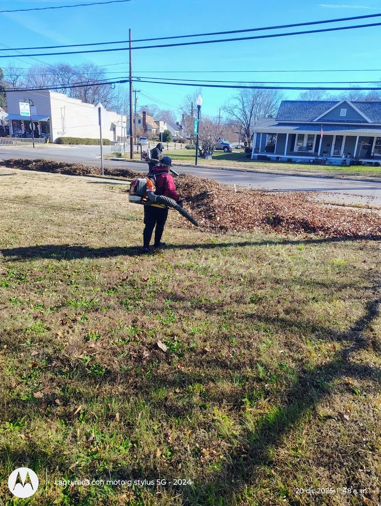 Affordable garden landscaping near you across Mocksville, NC - Pastor Landscaping Services