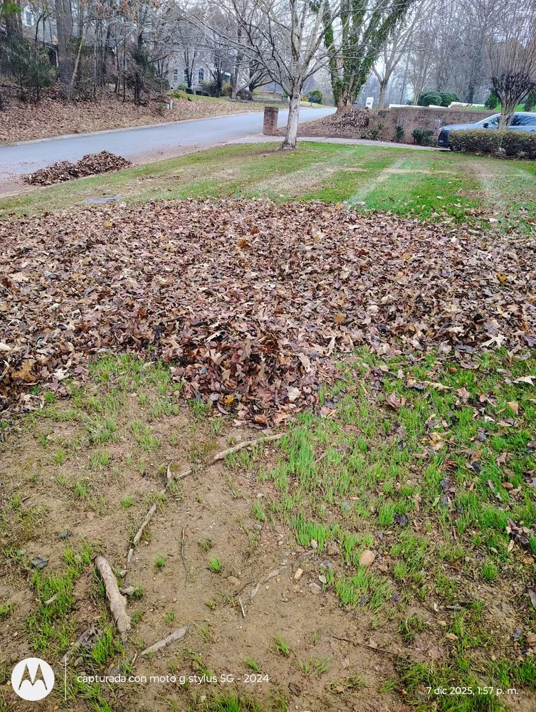 Trusted yard maintenance for residential properties in Mocksville, NC by Pastor Landscaping Services