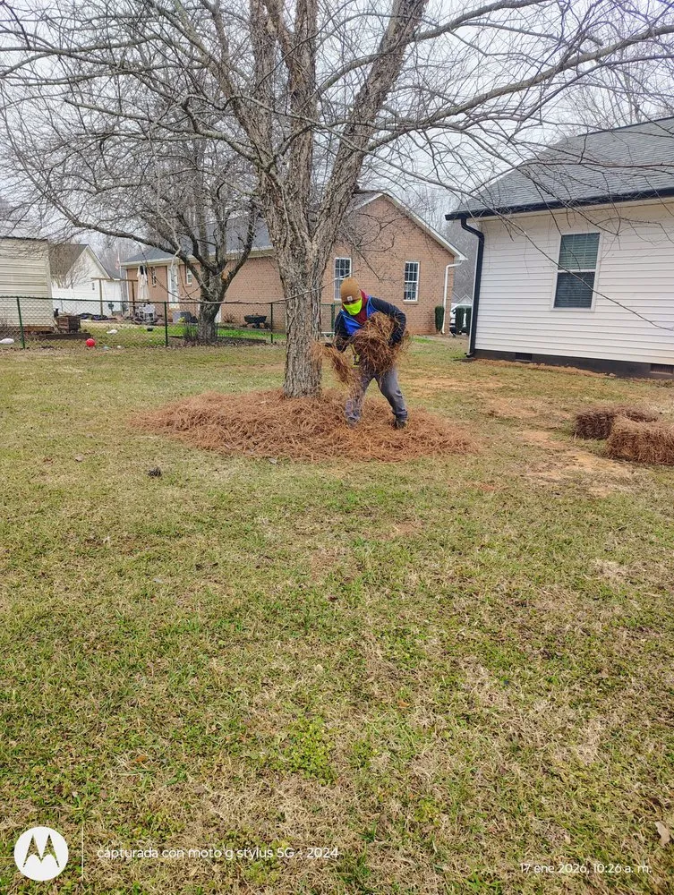 Local landscape installation for year-round maintenance across Mocksville, NC - Pastor Landscaping Services