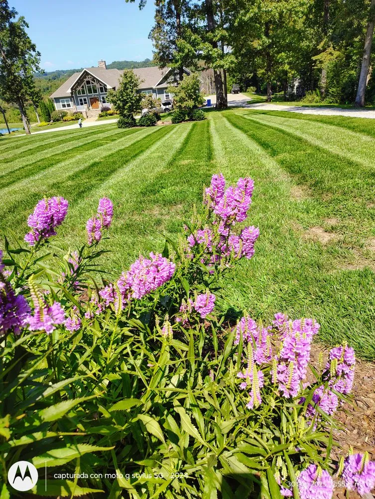 Professional landscape installation in Mocksville, NC - Pastor Landscaping Services