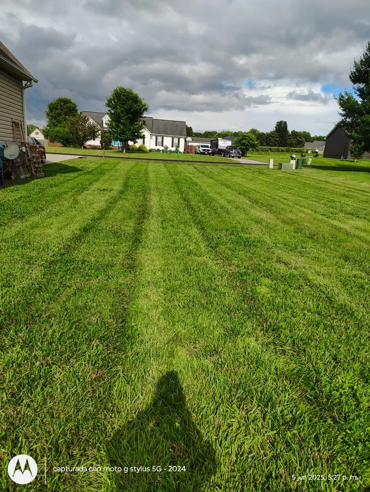 Reliable yard cleanup service experts serving Mocksville, NC - Pastor Landscaping Services