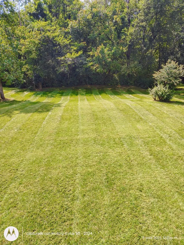 Local outdoor landscaping for beautiful yards across Mocksville, NC - Pastor Landscaping Services