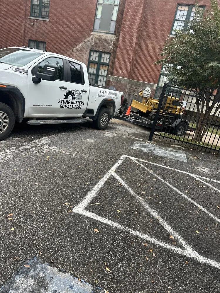 Trusted landscaping services experts serving Mabelvale, AR - Pastor Tree Services