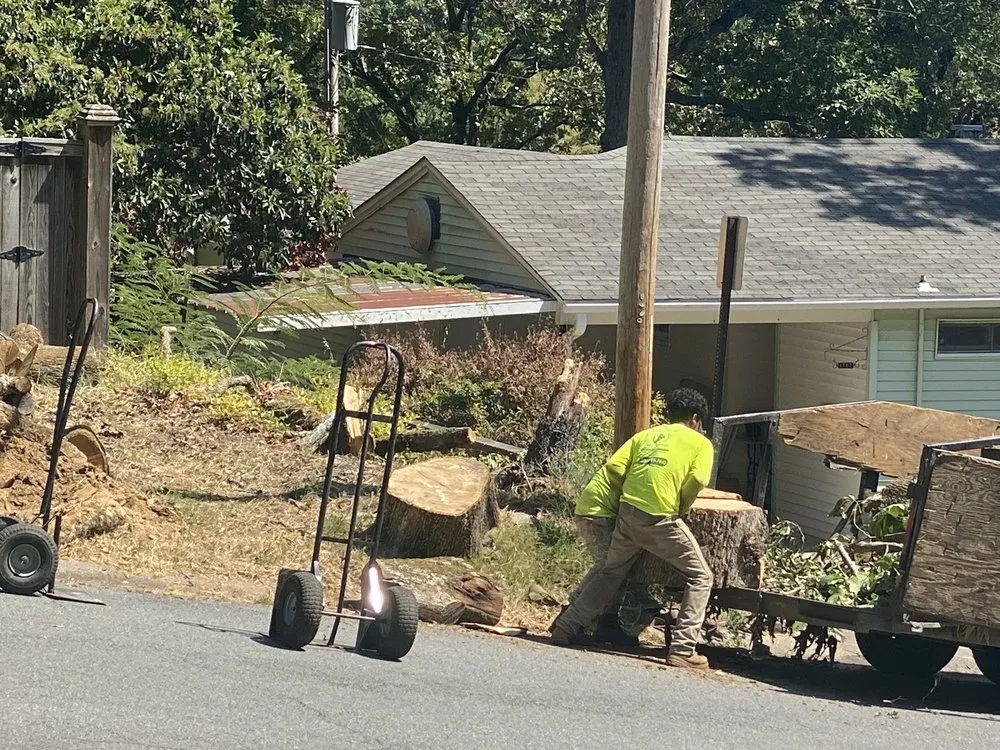 Expert lawn mowing service in Mabelvale, AR by Pastor Tree Services