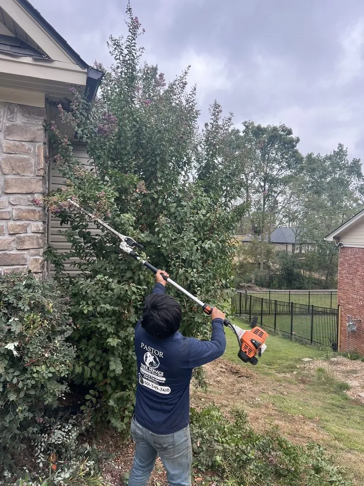 Expert yard cleanup service for homes in Mabelvale, AR by Pastor Tree Services