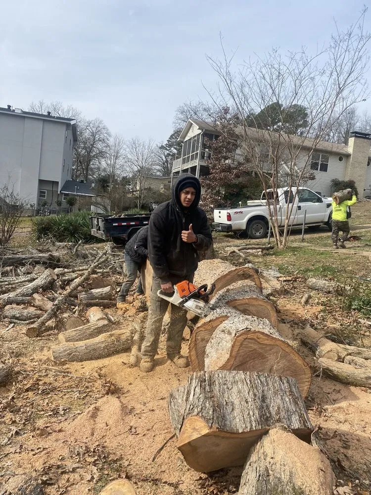 Reliable landscape design for homes across Mabelvale, AR - Pastor Tree Services