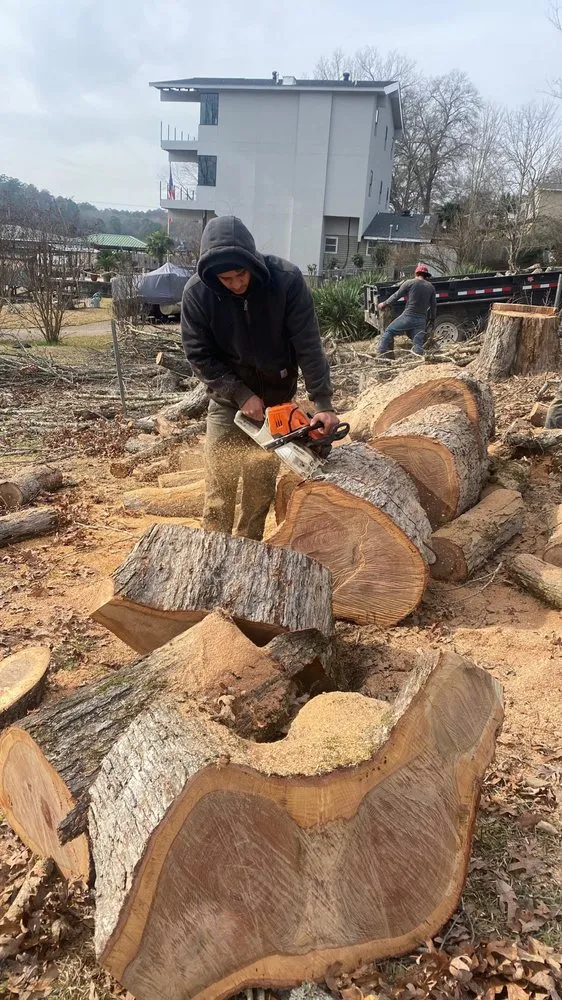 Top-rated landscape design for beautiful yards across Mabelvale, AR - Pastor Tree Services