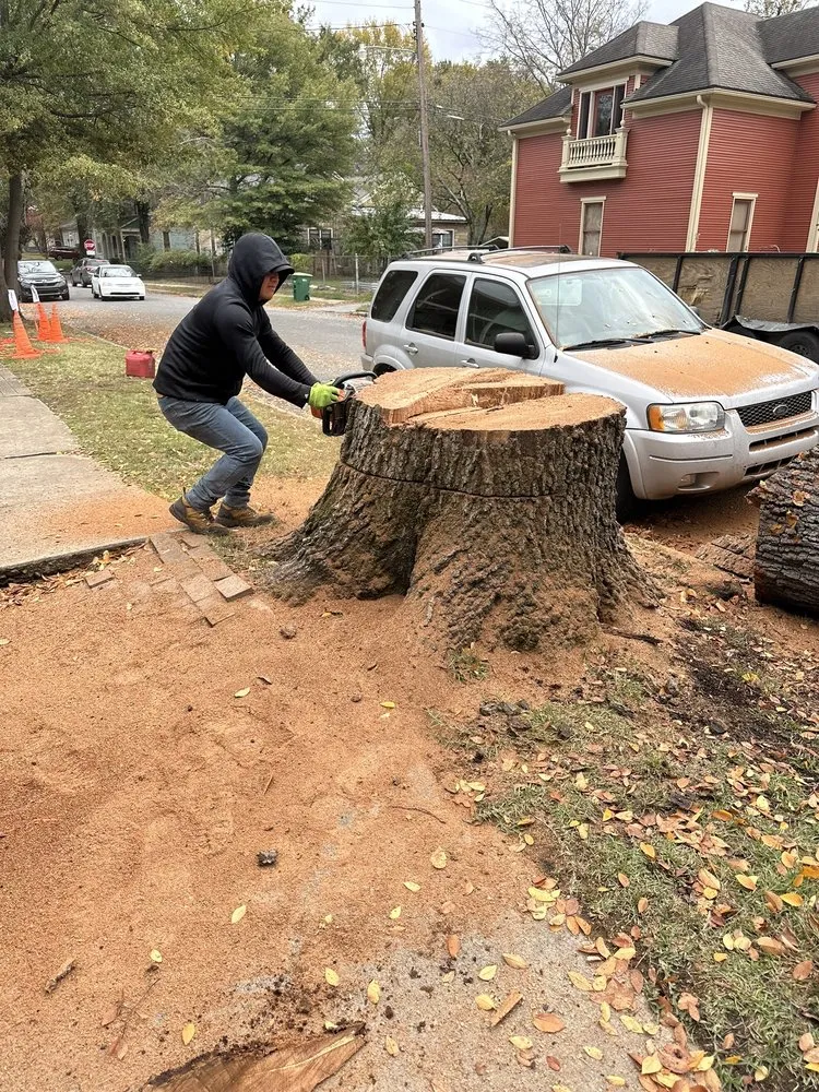 Expert outdoor landscaping for beautiful yards in Mabelvale, AR by Pastor Tree Services