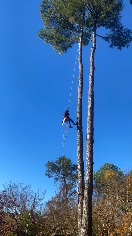 Affordable landscape installation in Mabelvale, AR by Pastor Tree Services
