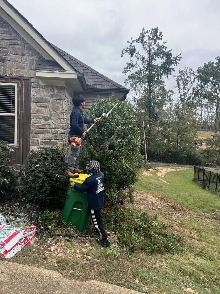 Affordable outdoor landscaping for homes across Mabelvale, AR - Pastor Tree Services