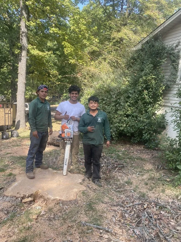 Professional garden landscaping with custom design in Mabelvale, AR by Pastor Tree Services