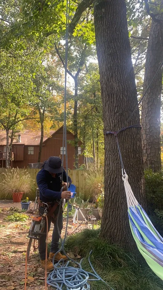 Affordable residential landscaping in Mabelvale, AR - Pastor Tree Services