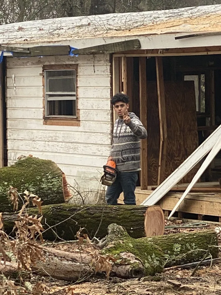 Reliable yard maintenance for outdoor upgrades across Mabelvale, AR - Pastor Tree Services