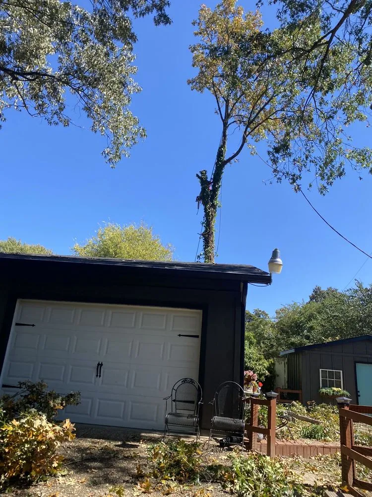 Professional lawn mowing service experts serving Mabelvale, AR - Pastor Tree Services