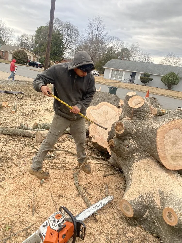 Expert garden landscaping in Mabelvale, AR by Pastor Tree Services