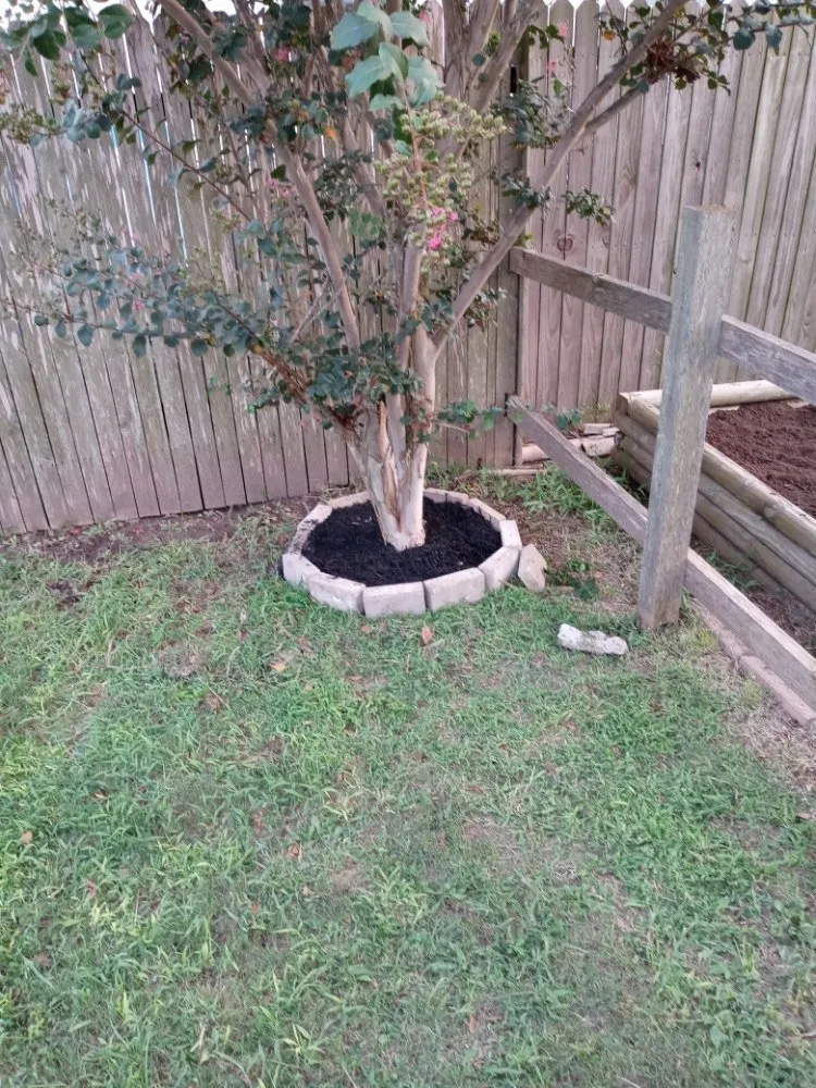 Local garden landscaping in San Marcos, TX - Pastrano Landscape And More