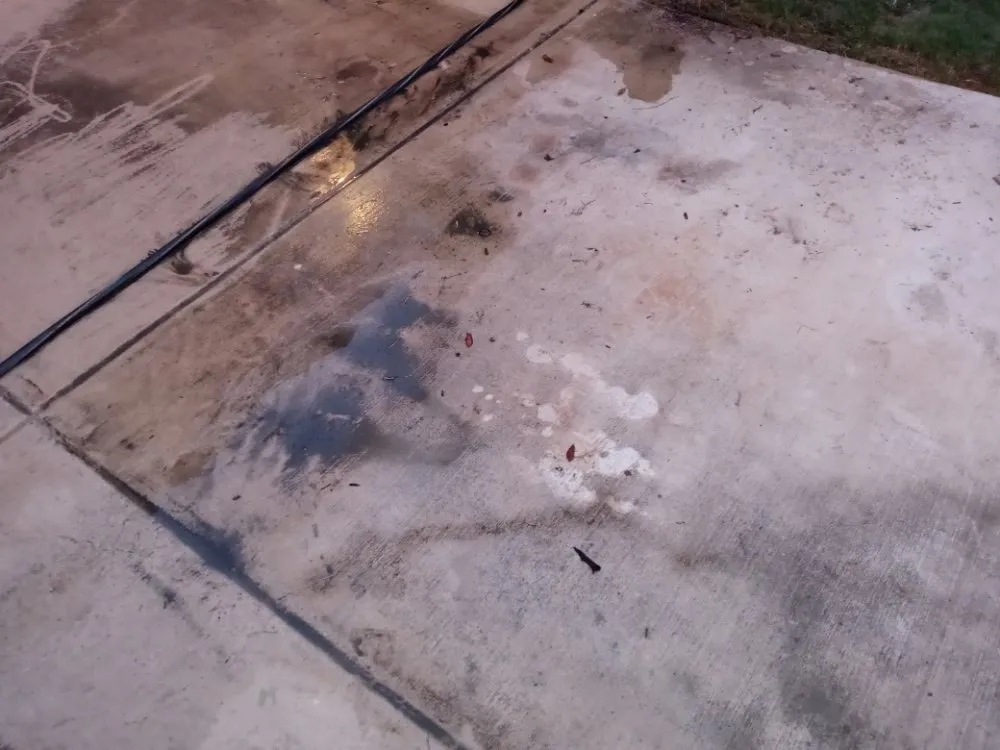 Top-rated lawn mowing service in San Marcos, TX by Pastrano Landscape And More