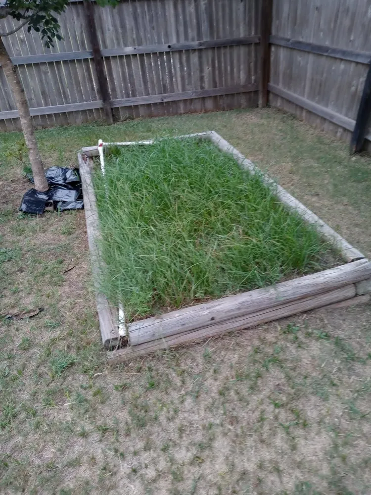 Local outdoor landscaping in San Marcos, TX - Pastrano Landscape And More