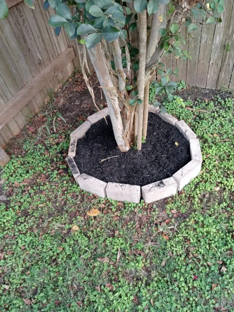 Trusted lawn care service in San Marcos, TX - Pastrano Landscape And More