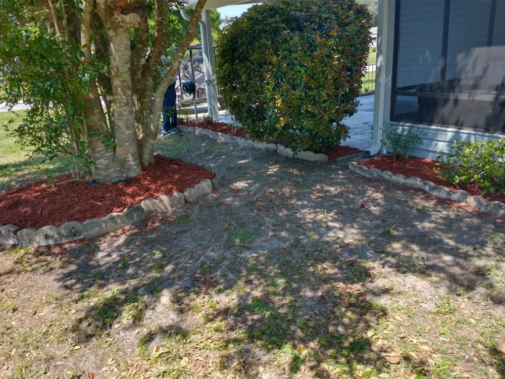 Professional landscape design in Belleview, FL - Pat and Kim's House Cleaning, Landscaping and Tree Work