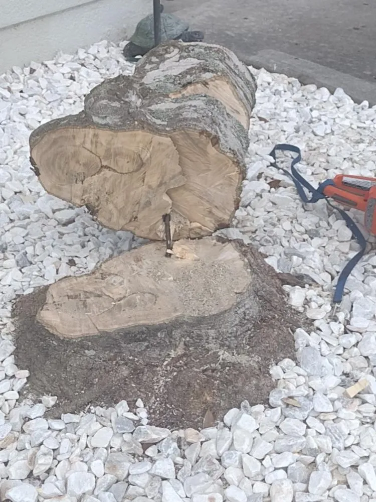 Expert yard cleanup service in Belleview, FL - Pat and Kim's House Cleaning, Landscaping and Tree Work