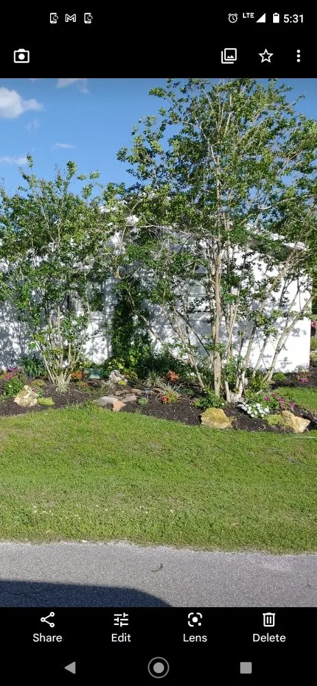 Top-rated landscape installation in Belleview, FL by Pat and Kim's House Cleaning, Landscaping and Tree Work