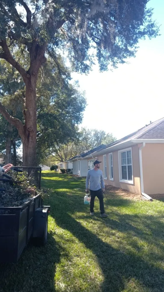 Top-rated yard cleanup service in Belleview, FL - Pat and Kim's House Cleaning, Landscaping and Tree Work