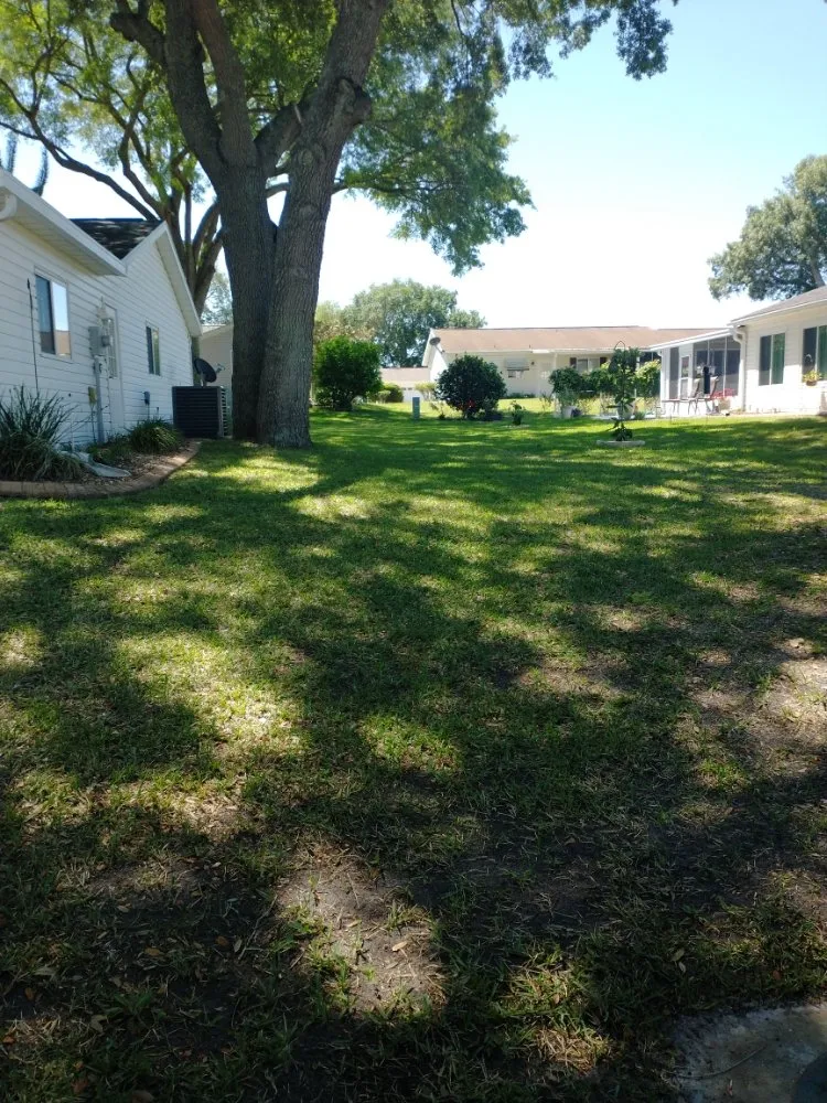 Professional yard cleanup service for outdoor upgrades across Belleview, FL - Pat and Kim's House Cleaning, Landscaping and Tree Work