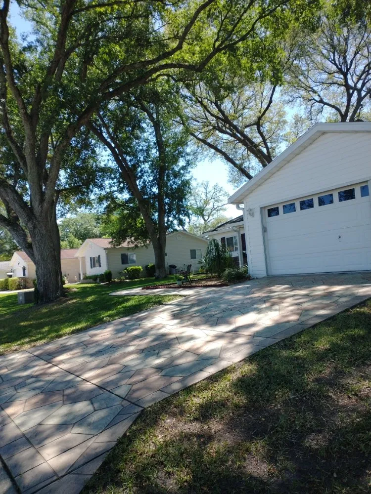 Expert lawn care service for outdoor upgrades across Belleview, FL - Pat and Kim's House Cleaning, Landscaping and Tree Work