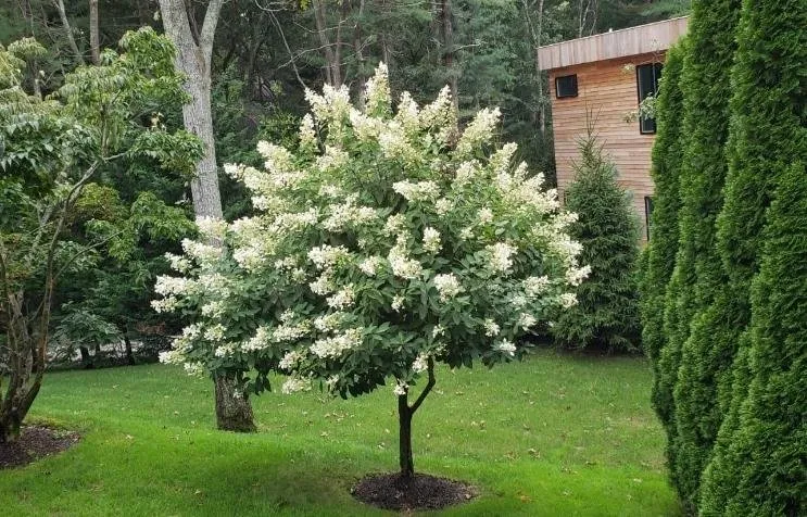 Top-rated residential landscaping in East Hampton, NY by Pat Flores Landscape & Masonry Corp