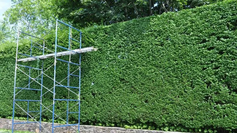 Trusted garden landscaping with custom design across East Hampton, NY - Pat Flores Landscape & Masonry Corp