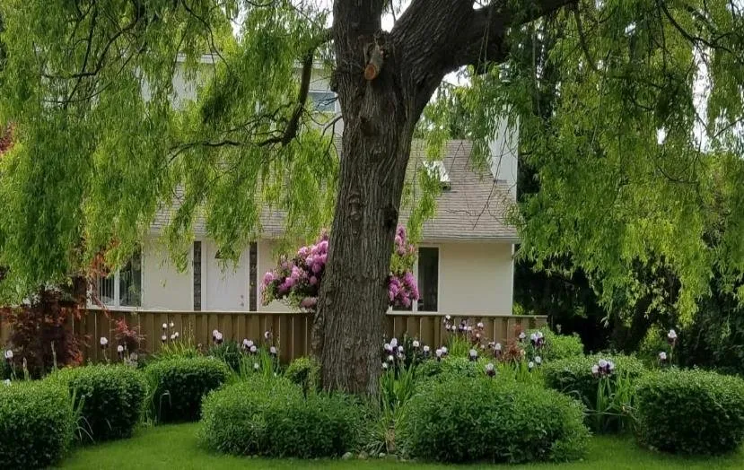 Professional lawn mowing service for homes across East Hampton, NY - Pat Flores Landscape & Masonry Corp