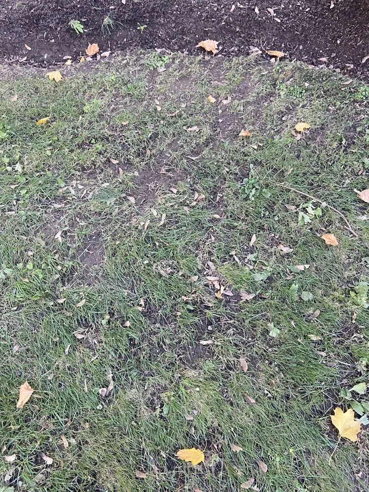 Affordable residential landscaping for beautiful yards across Canton, MA - Pat Gibbs Landscape Design & Construction