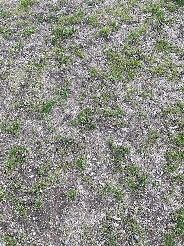 Trusted yard maintenance experts serving Canton, MA - Pat Gibbs Landscape Design & Construction