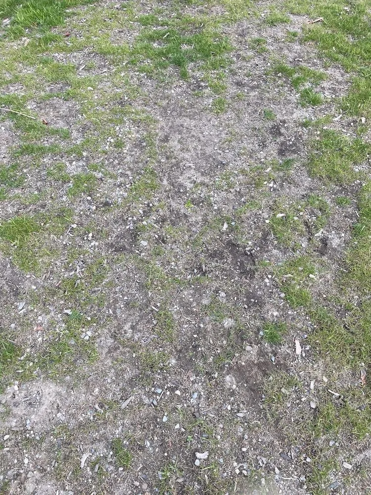 Professional outdoor landscaping near you across Canton, MA - Pat Gibbs Landscape Design & Construction