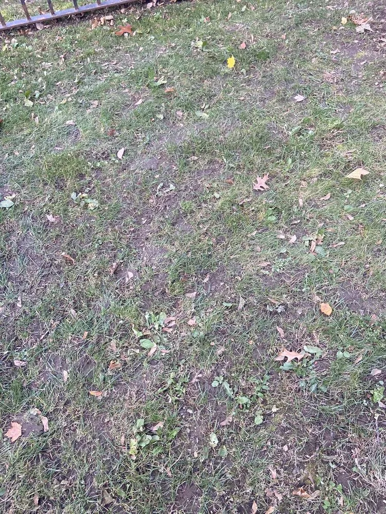 Affordable yard maintenance experts serving Canton, MA - Pat Gibbs Landscape Design & Construction